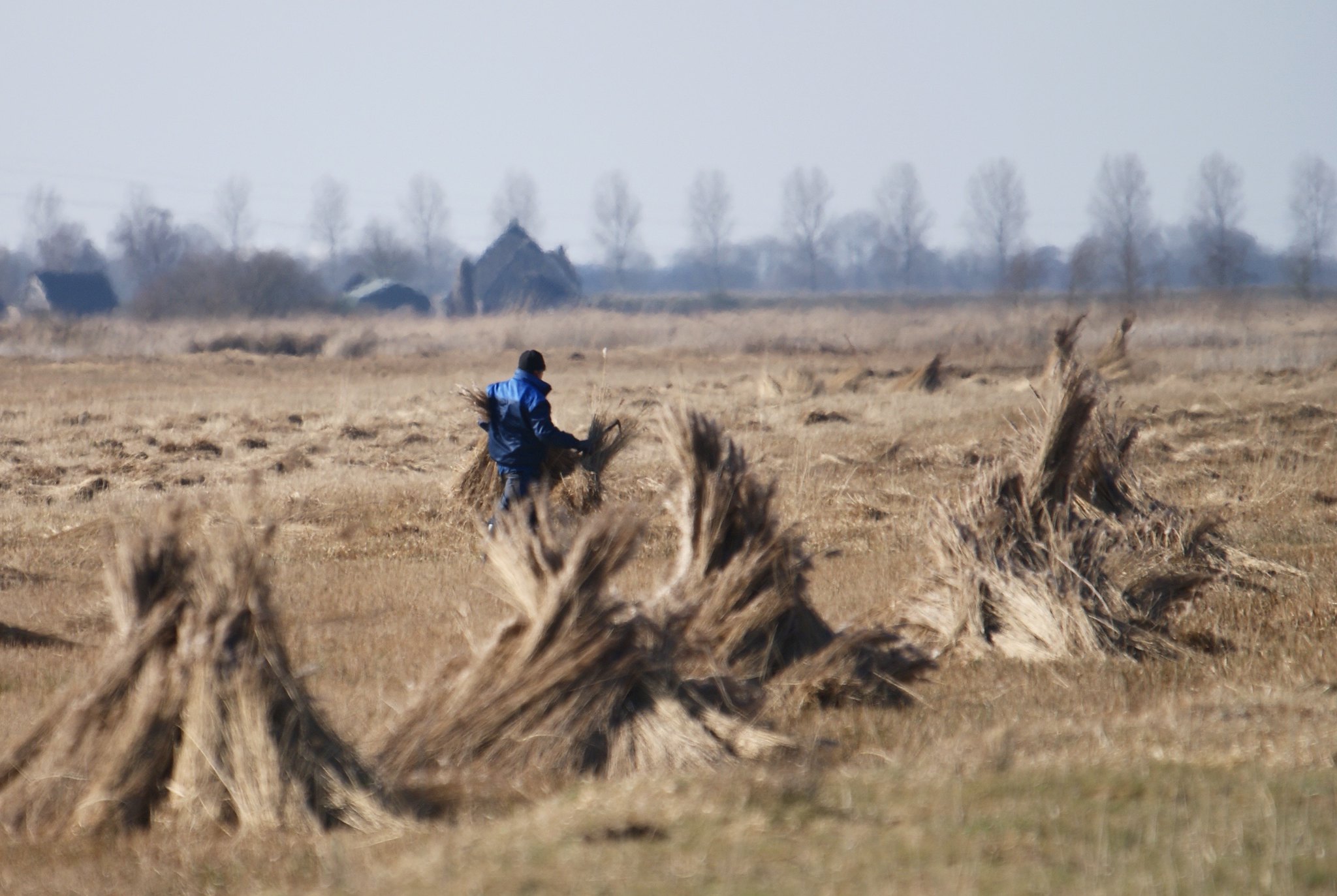 rietsnijders