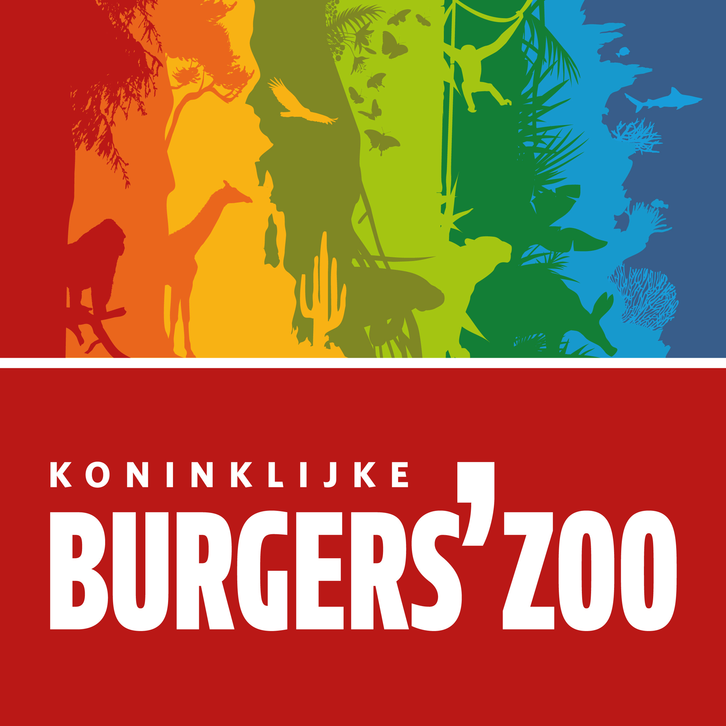 burgers