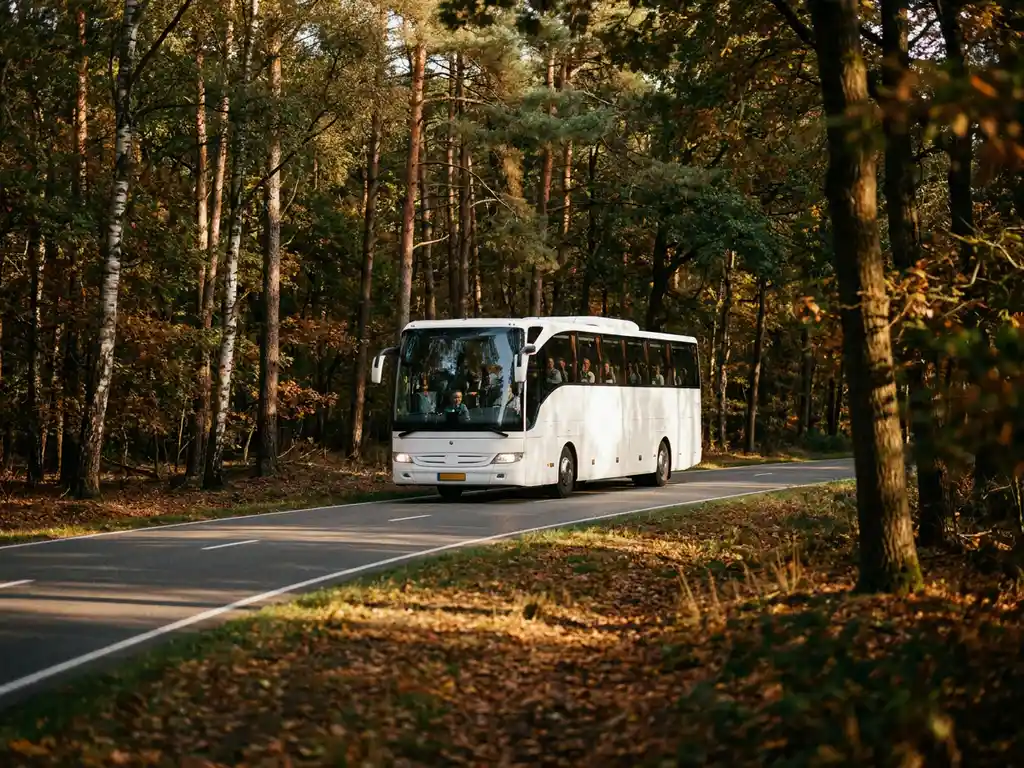 Witte touringcar rijdt door bosrijke weg in Nederland met berken en dennen in herfstkleuren.