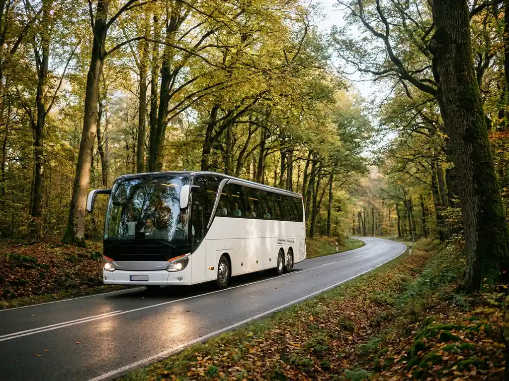 Witte touringcar rijdt over kronkelende bosweg door Nederlands loofbos met beuken en eiken in herfstkleuren.