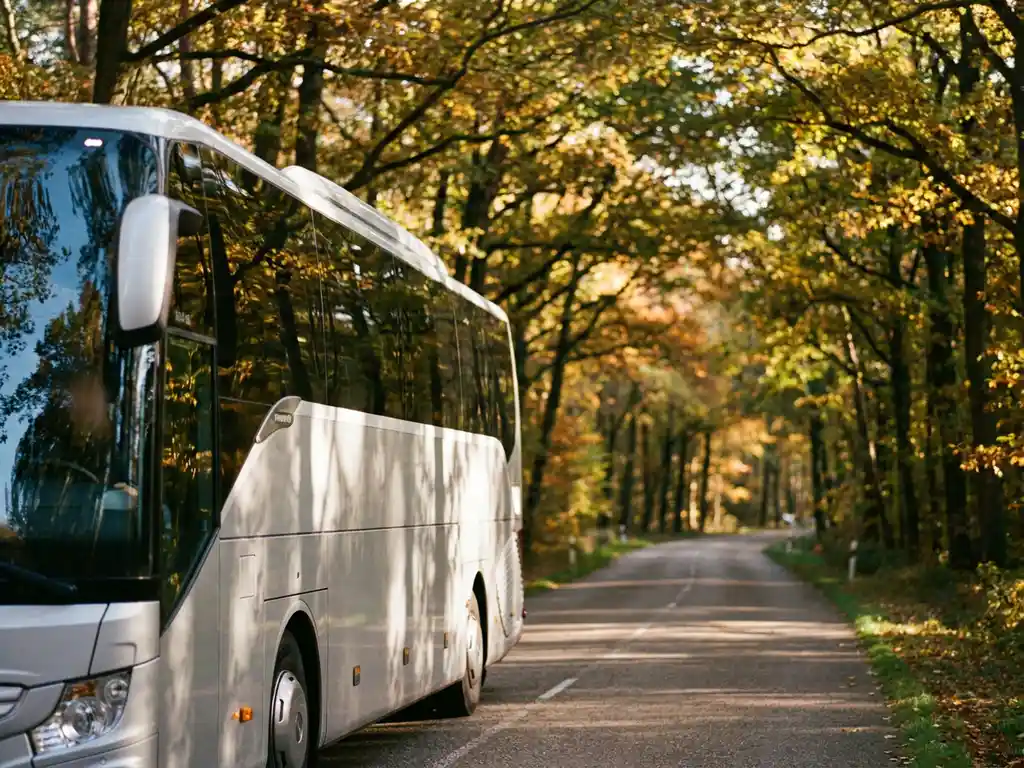 Moderne touringcar op een bochtige, bosrijke Nederlandse weg met herfstbladeren en gefilterd middagzonlicht.