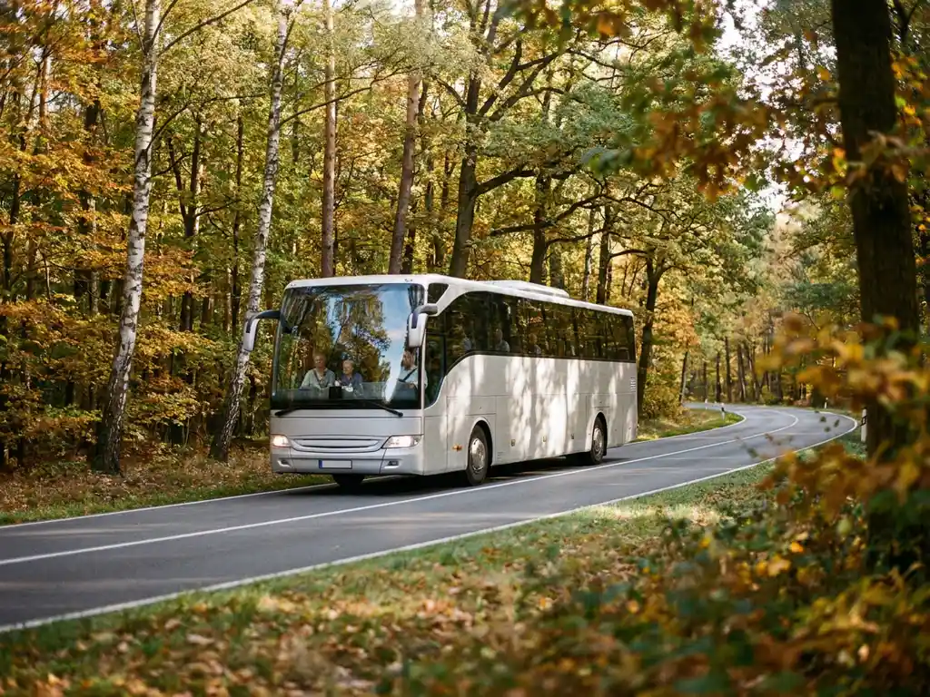 Touringcar rijdt over kronkelende bosweg door Nederlands loofbos met berken en eiken in herfstkleuren.