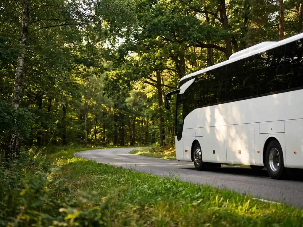 Moderne touringcar op een kronkelende bosweg in Nederland, omgeven door berken en eiken in zomers groen licht.