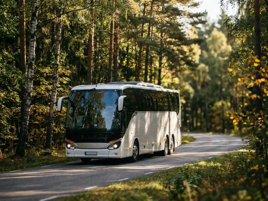 Moderne touringcar rijdt over kronkelende bosweg door dicht Nederlands bos met berken en dennen in middagzon.