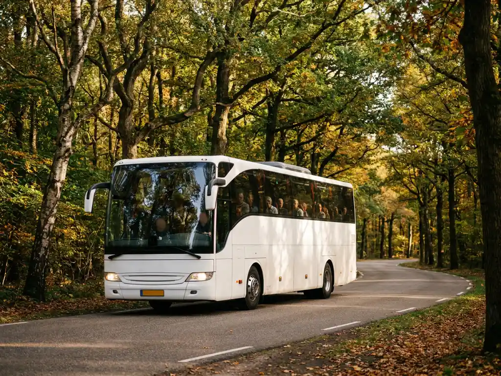 Moderne touringcar rijdt door een bochtige bosweg in Nederland, omgeven door berken en eiken met herfstkleuren in warm middaglicht.