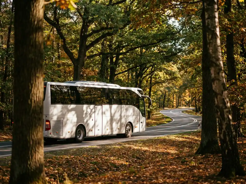 Moderne touringcar rijdt over kronkelende bosweg door Nederlands herfstlandschap met eiken en berken.